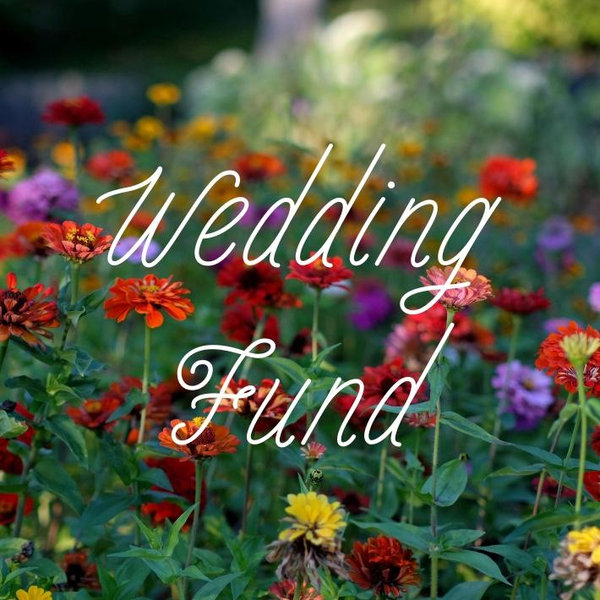 Our wedding fund