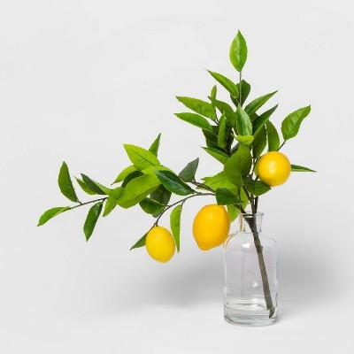 16&#34; x 9&#34; Artificial Lemon Leaf Arrangement Yellow/Green - Threshold&#8482;