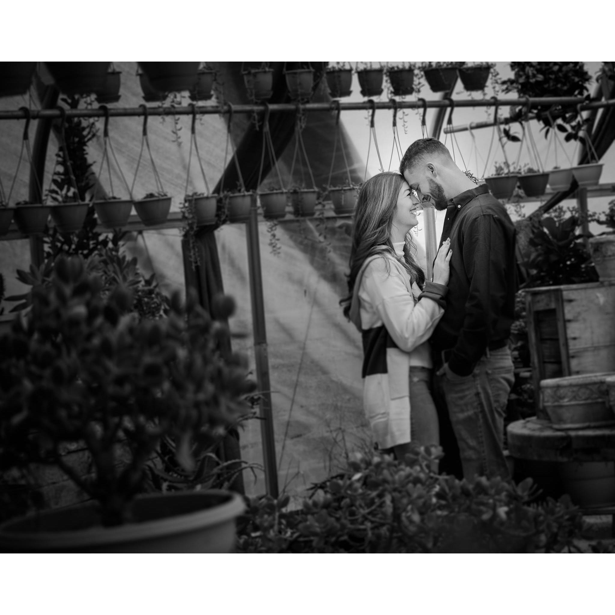 Engagement session