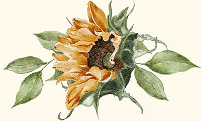 The Wedding Website of Jacob Bixby and Naomi Frohloff