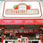 Strawberry Shack
