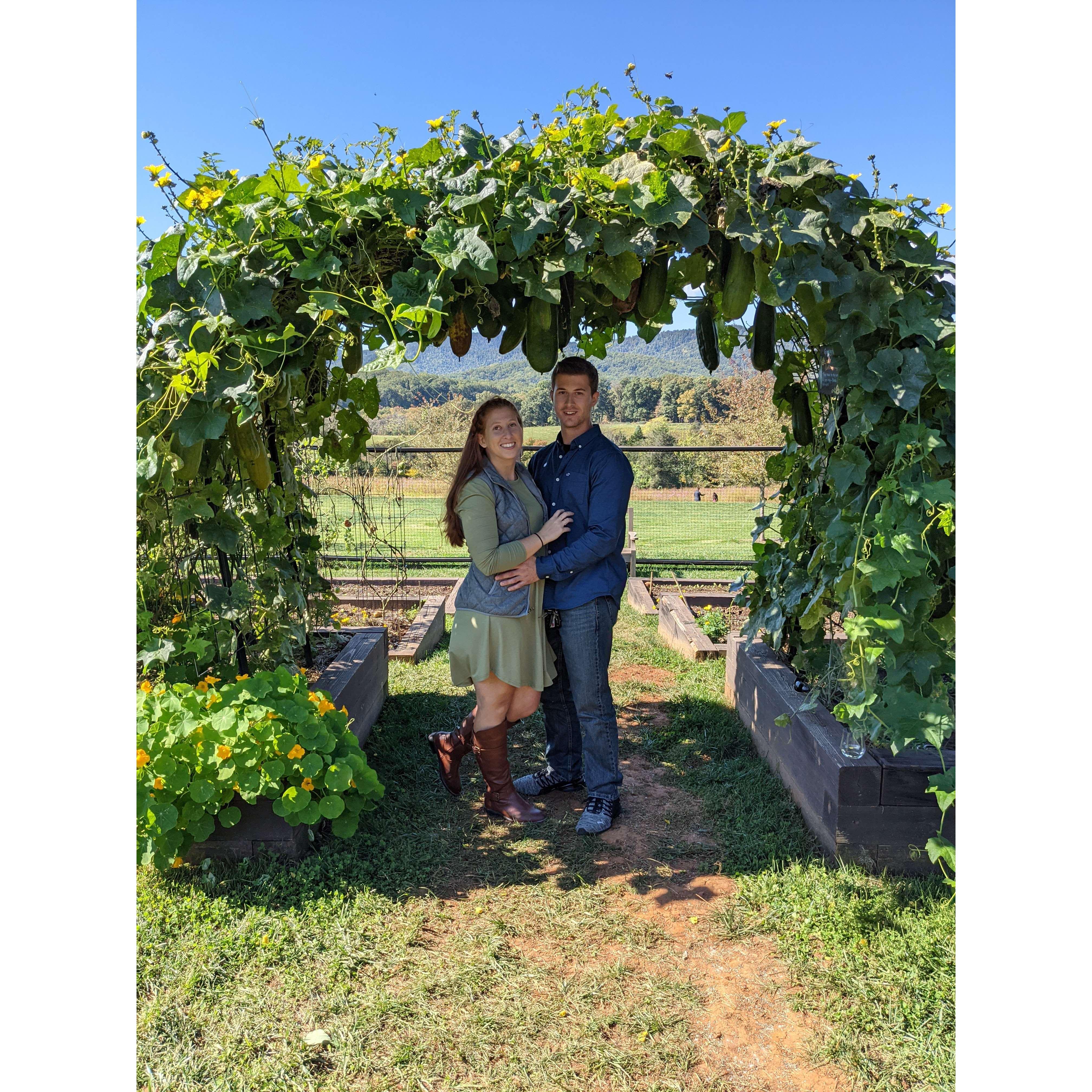 Celebrating Sophie's birthday at Pippin Hill Winery