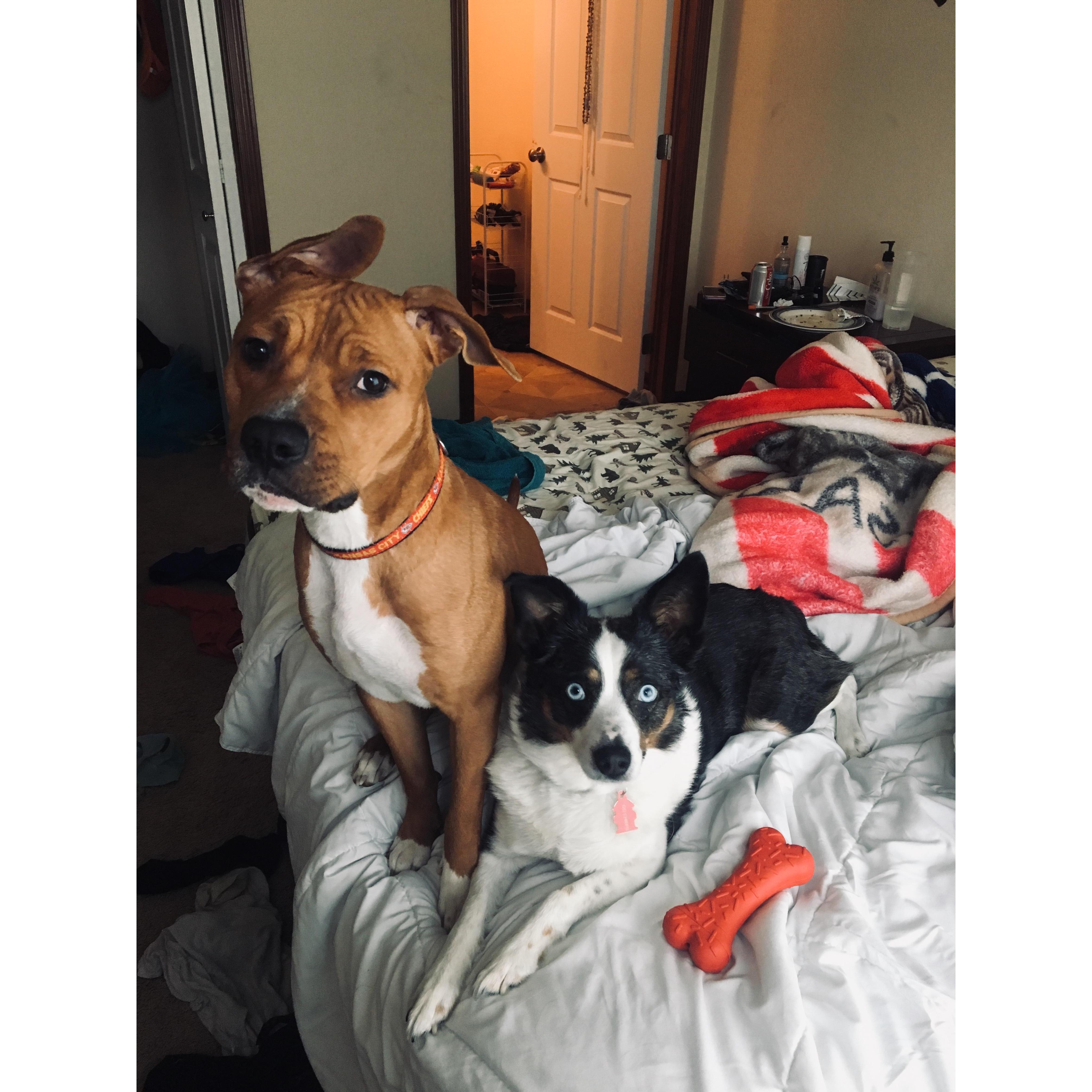 Our babies!