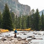 Guided Fly Fishing Excursion