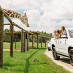 Safari Drive-Thru Park