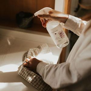 Professional Cleaning Service (1)
