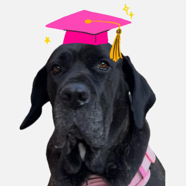 Fiona’s College Fund