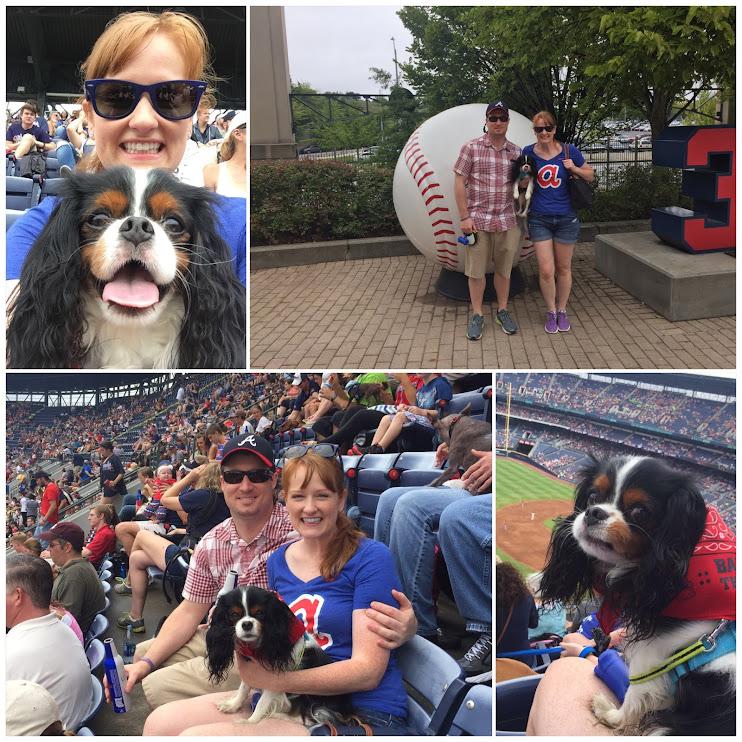 Bark in the Park!