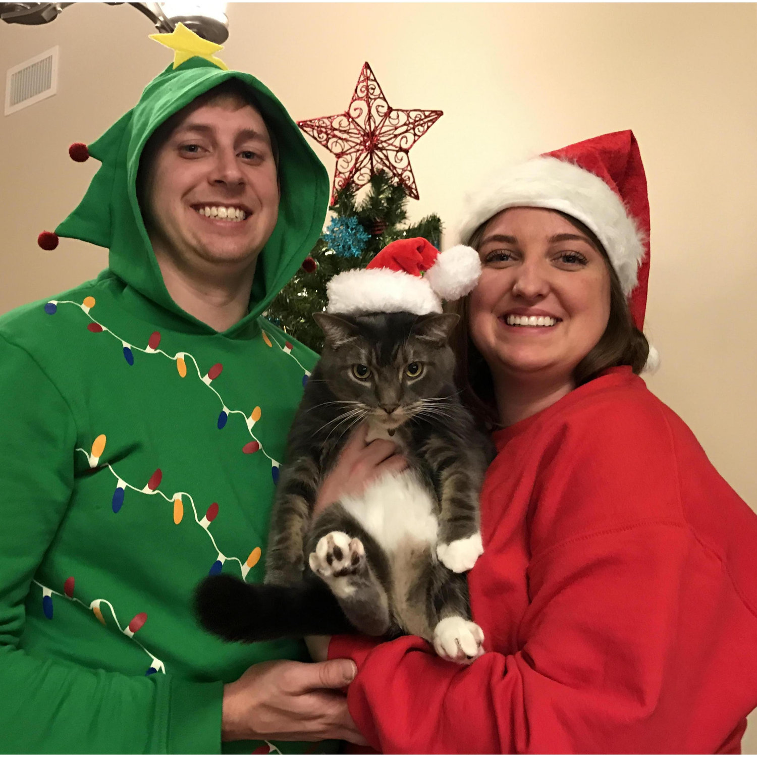 December 2016: Christmas and the Grinch cat, Louis.