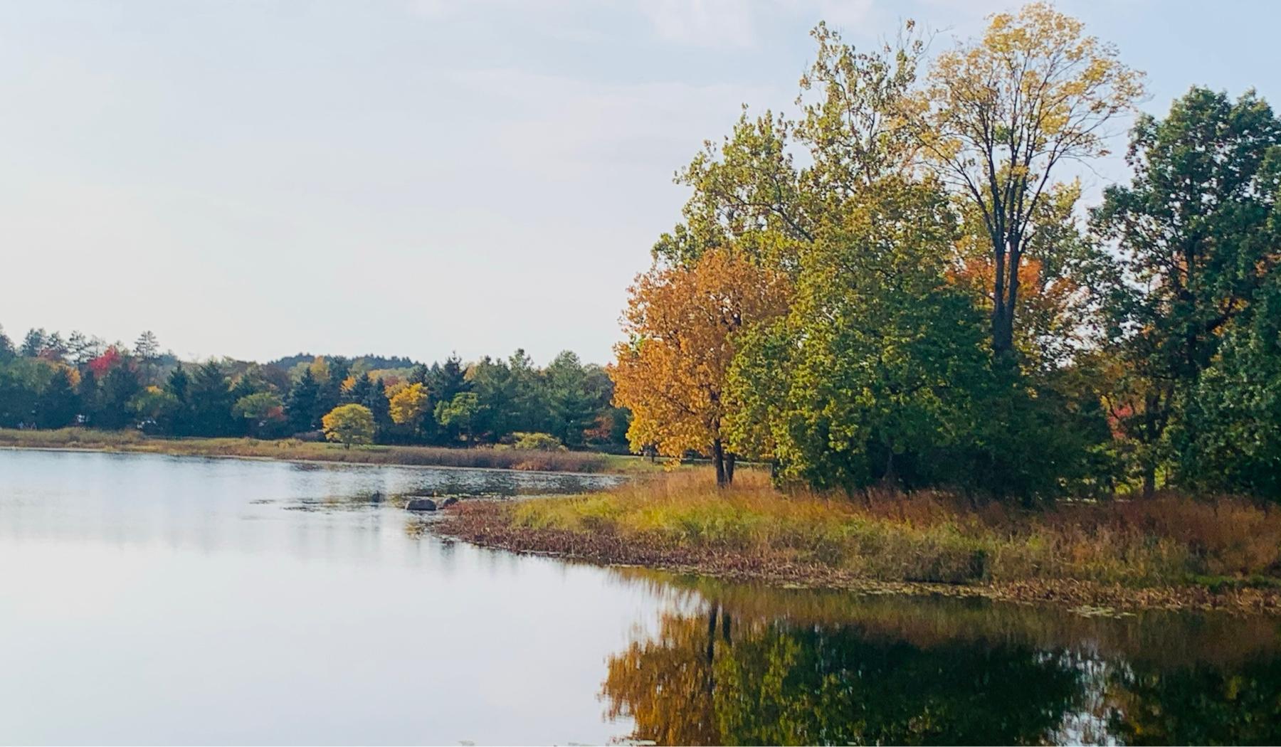 The Wedding Website of Meghann Ashman and Cameron Gould