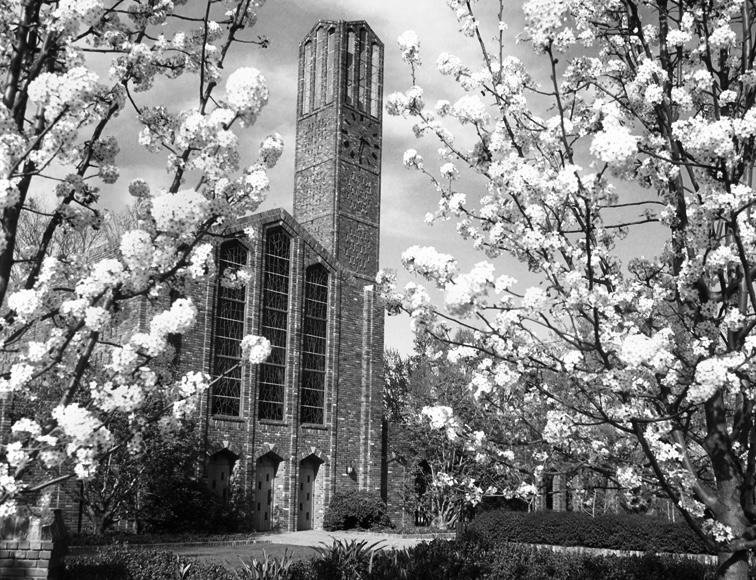 The Wedding Website of Ashley Edwards and Jacob Newbern