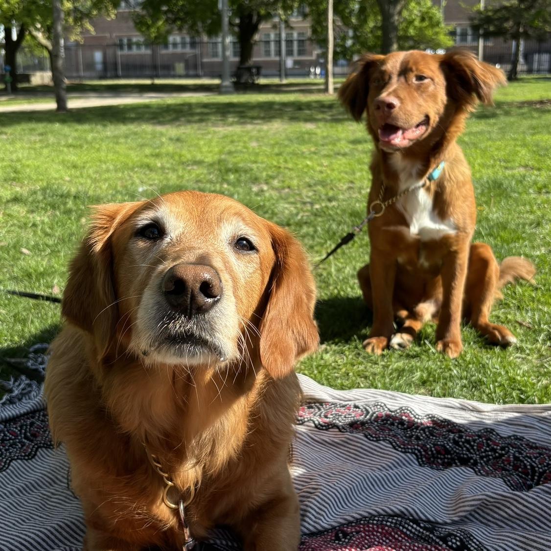 Had to include these two