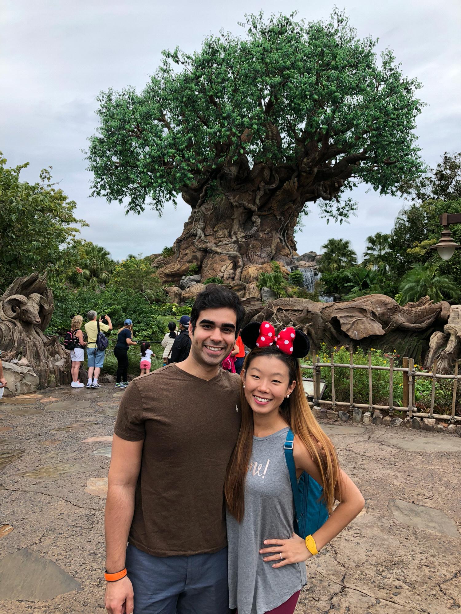 Walt Disney World - Animal Kingdom
Nov 2017