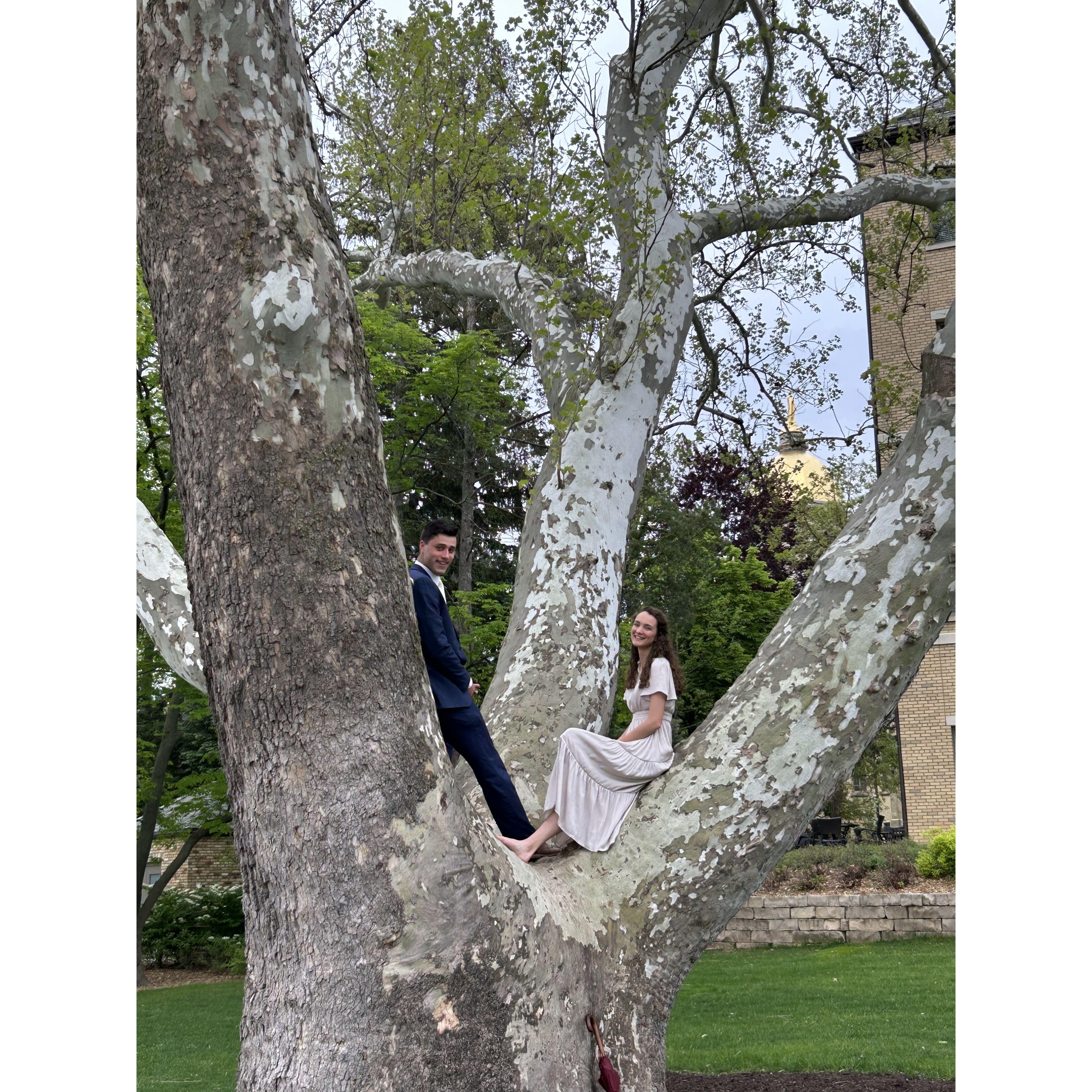Another attempt at recreating the tree picture mere minutes before Greg proposes! Lexie has no idea what is about to hit her :)