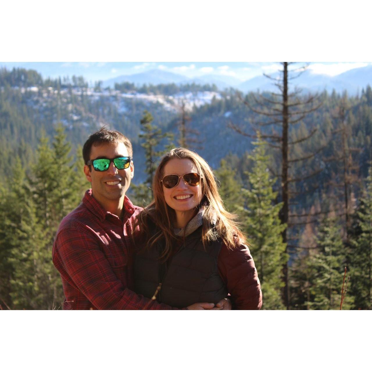 Christmas tree hunting in 2020