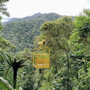Cable Car to the Cloud Forest Hiking Trails
