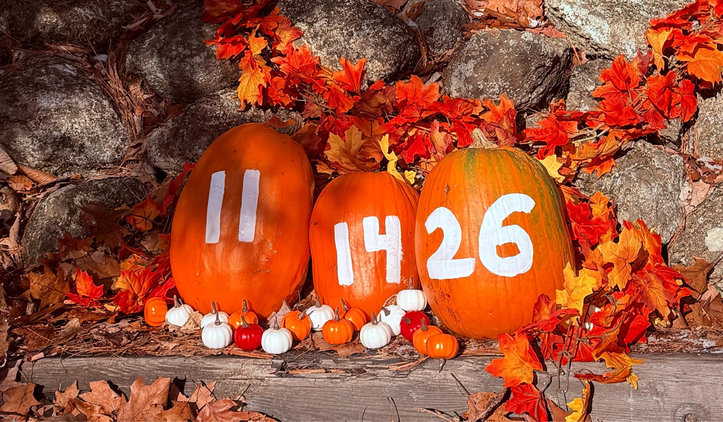 Hero Slideshow Image 4