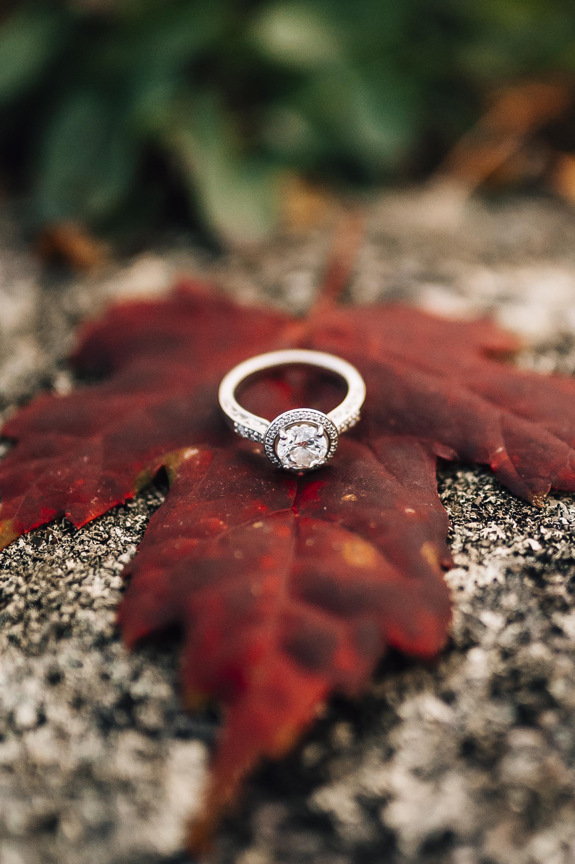 The Wedding Website of Meredith Roderka and Jeremiah Fenn