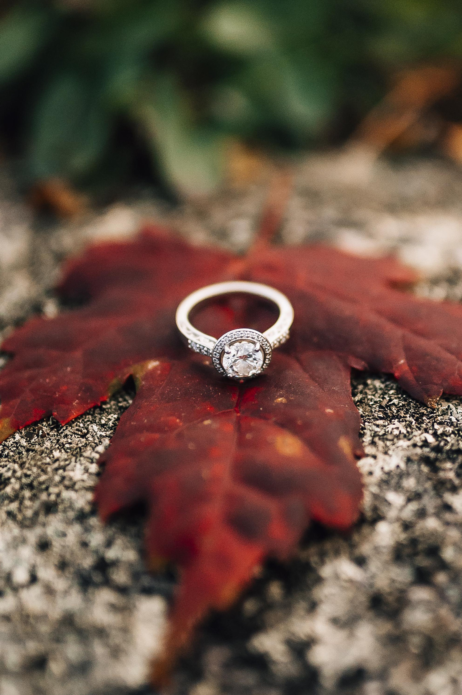 The Wedding Website of Meredith Roderka and Jeremiah Fenn