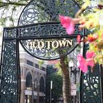 Old Town Neighborhood