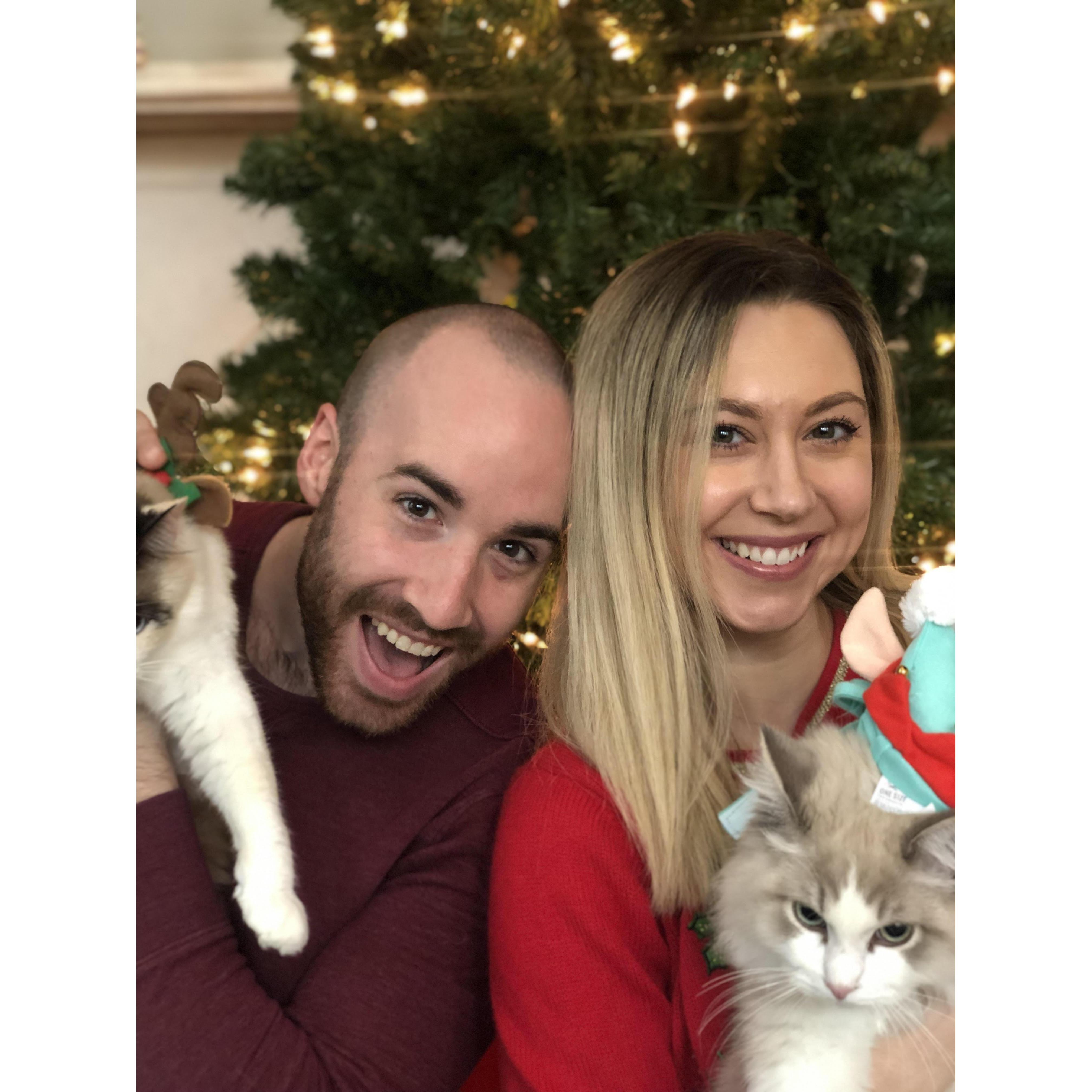 From our Christmas card photoshoot with the cats this year