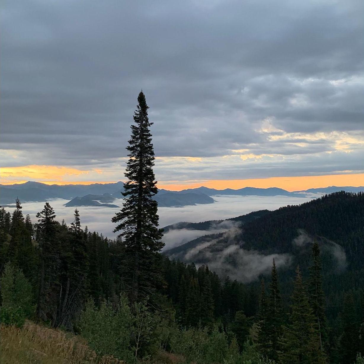 Jackson Hole, Wyoming, 2022