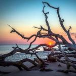 Talbot Islands State Parks