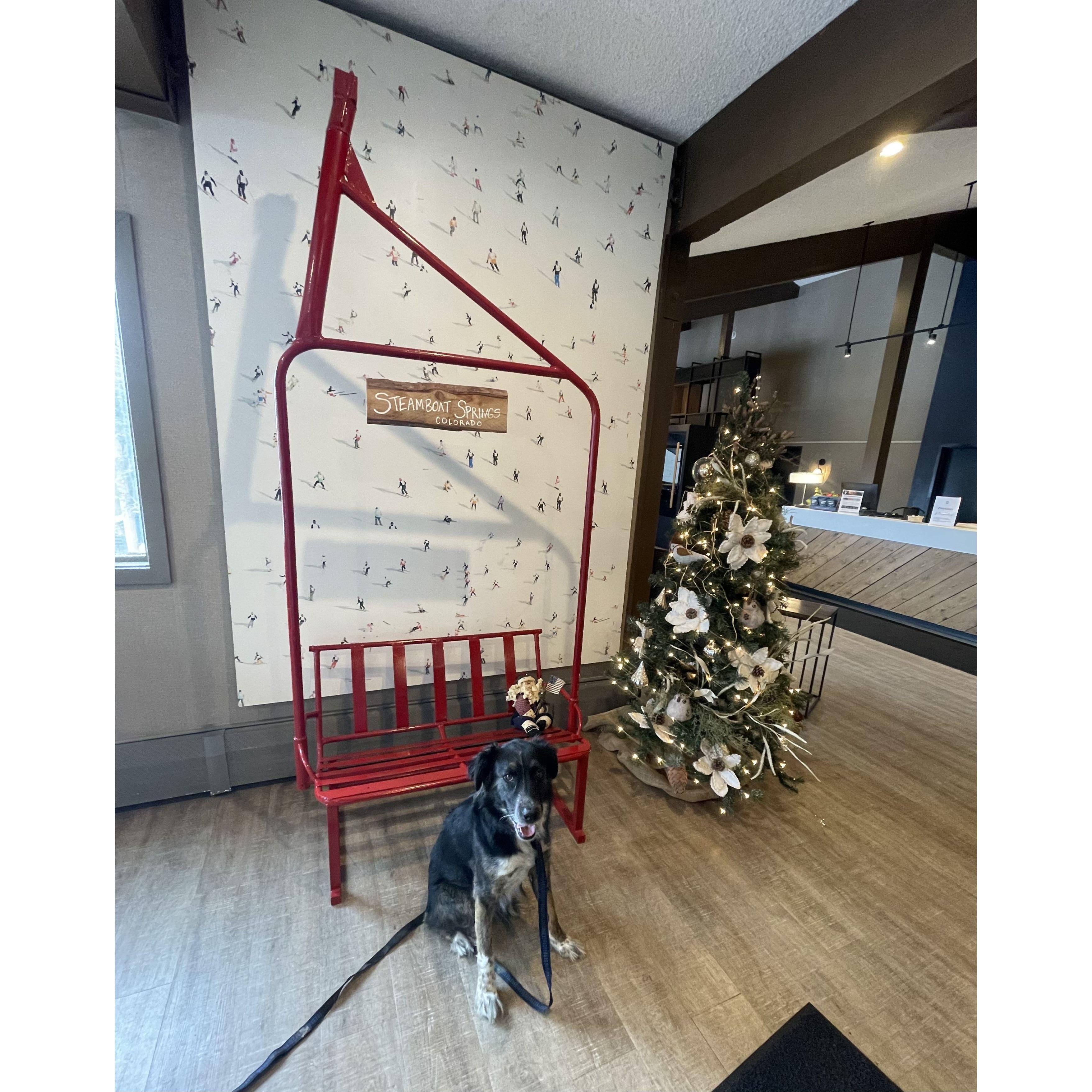 glacier loves steamboat too