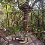 Tallahassee Museum