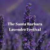 Lavender festival