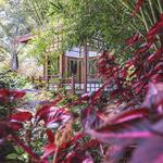 San Diego Botanic Garden
