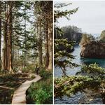 Cape Flattery