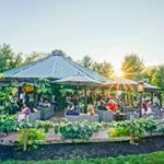 Narcisi Winery and Restaurant