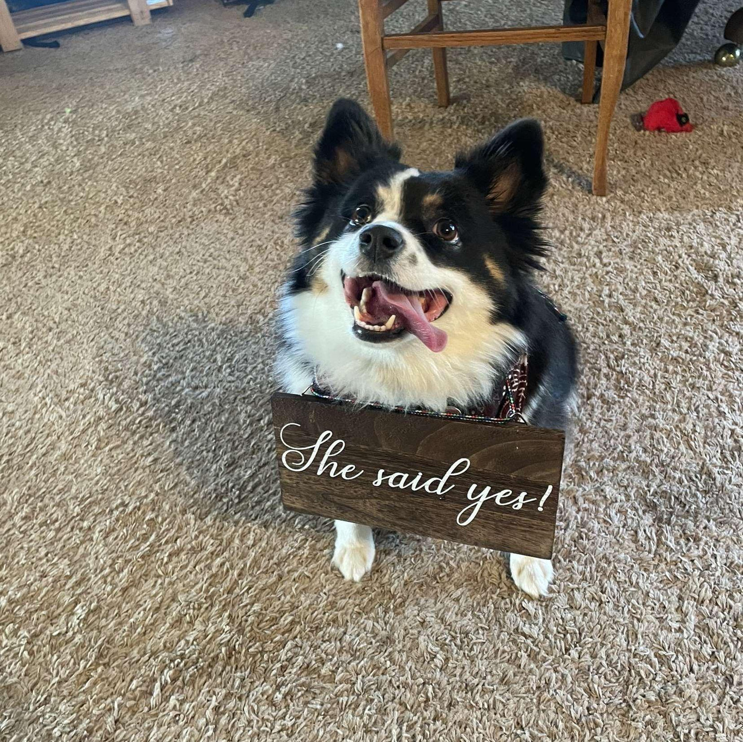 Meeya being the one who gets to tell everyone