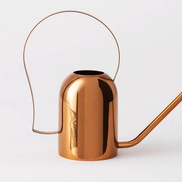 Dansk Watering Can | EQ3