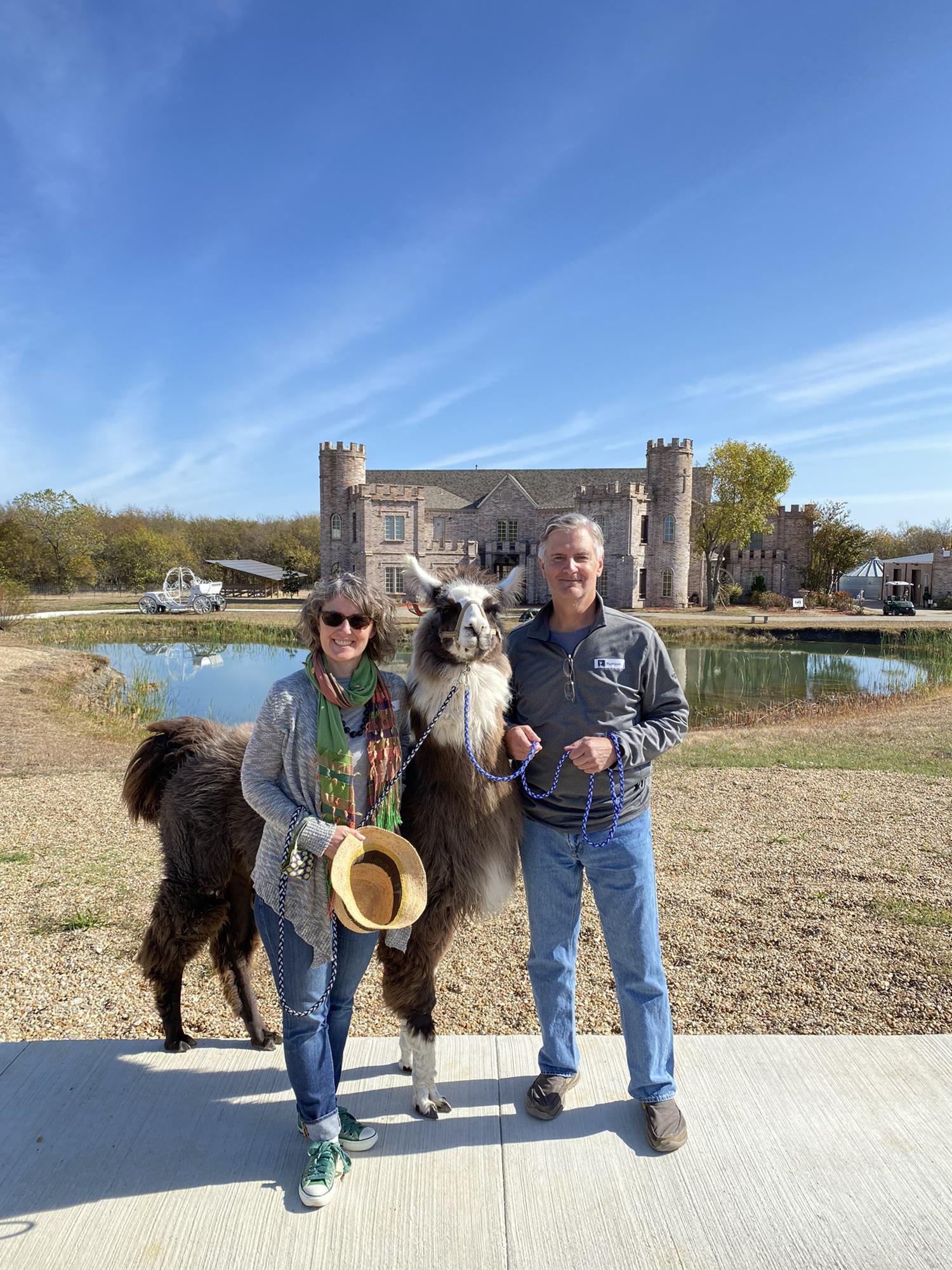 Walking with Llamas, Dallas, Dec 2021.