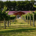Willow Creek Winery & Farm