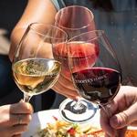Cooper’s Hawk Winery Wine Tasting