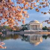 Tidal Basin
