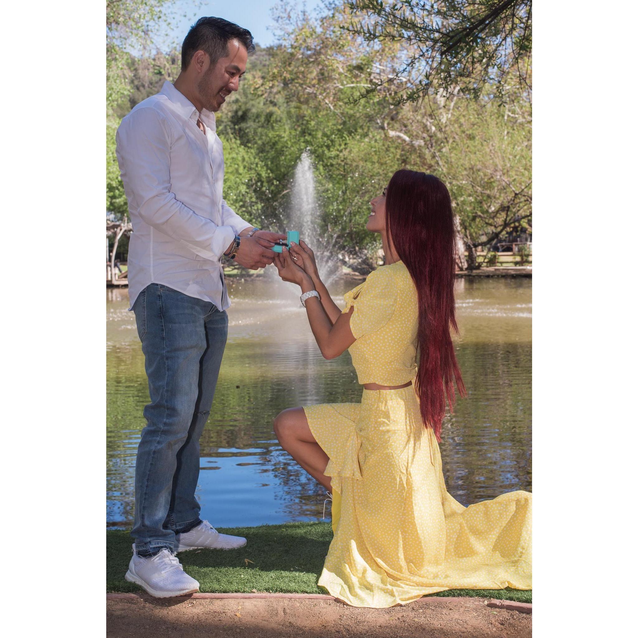The Proposal
April 07 2018