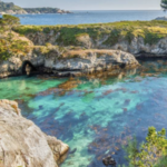 Point Lobos