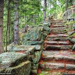 Great Notch & Long Pond Trail via Perpendicular Trail (Hiking)