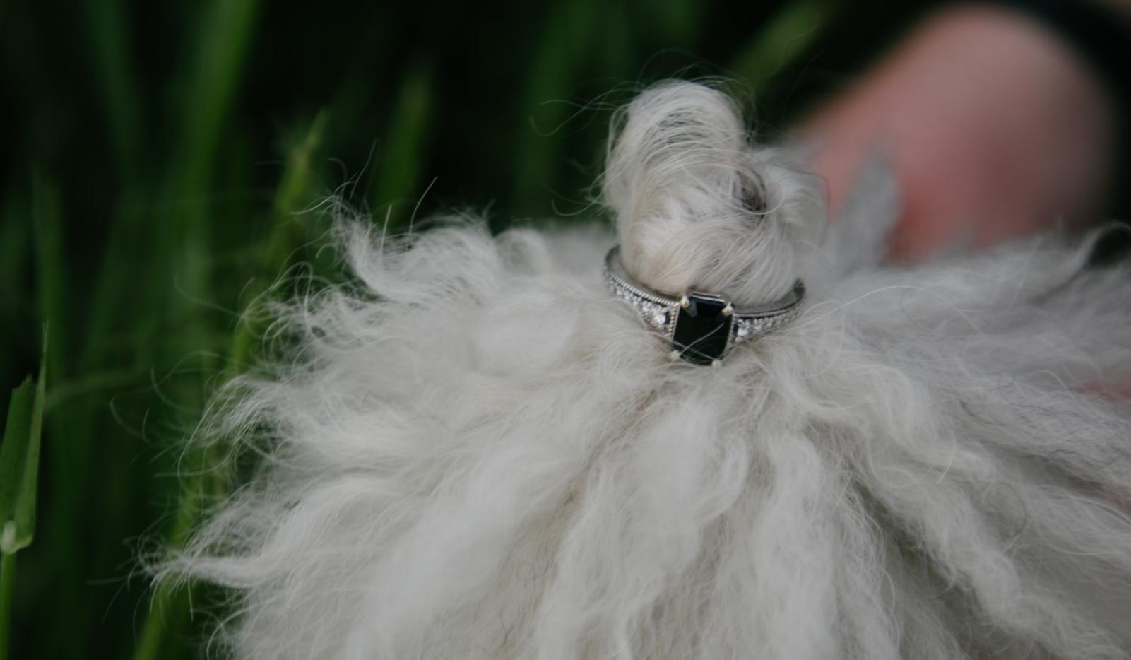 The Wedding Website of Kelly Folsom and Caleb Willette