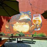 Mountain Toad Brewing