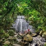 El Yunque National Forest