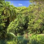 McBryde & Allerton Gardens, National Tropical Botanical Garden