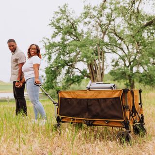 Wilderness Collapsible Folding Wagon
