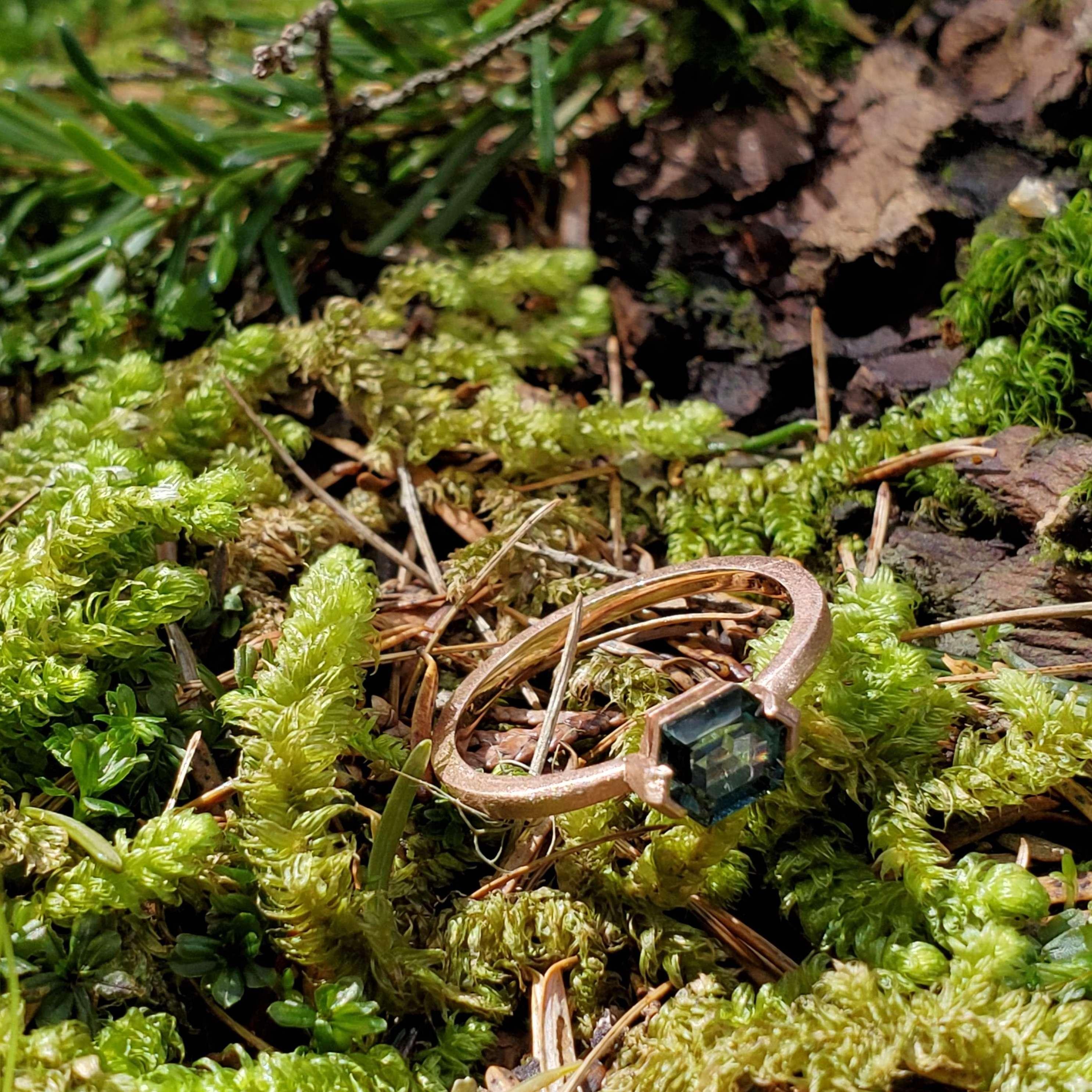 Never enough glamour shots along the Avalanche Creek Trail - Glacier National Park, May 2022