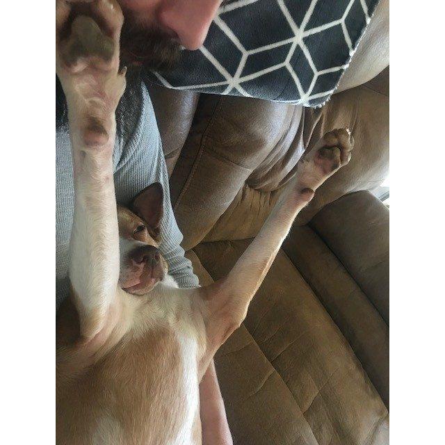 Absolutely content 