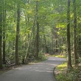McDowell Nature Preserve